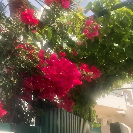 Debimar * Albufeira
