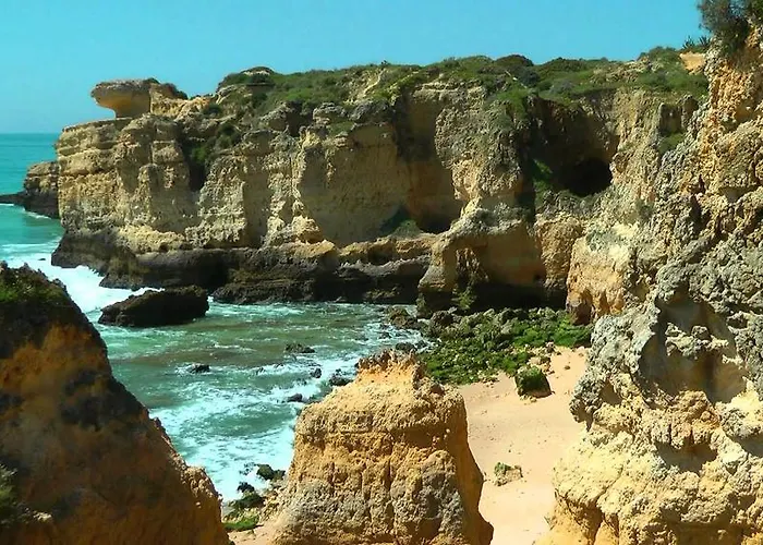 Apartament Debimar *