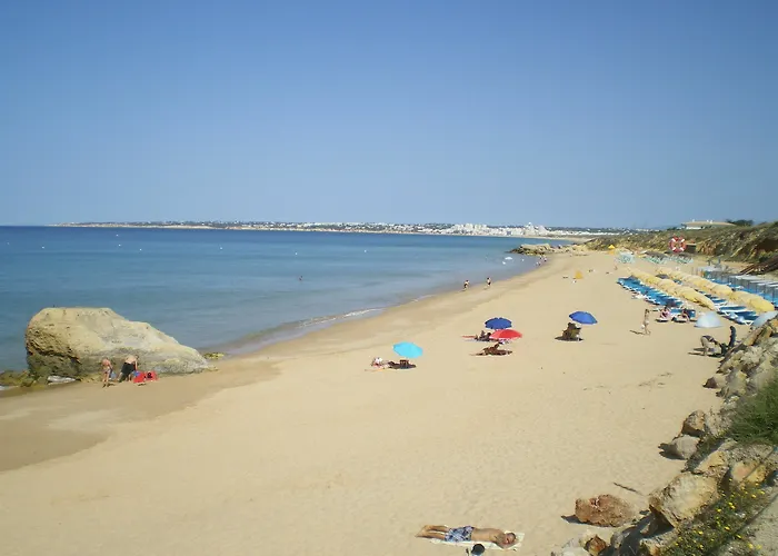 Apartament Debimar *