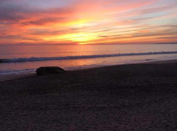 Debimar * البوفيرا